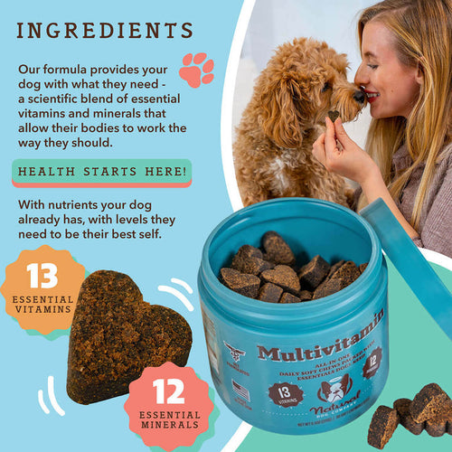 Natural Dog Company Multivitamin Supplement Soft Chews for Dogs