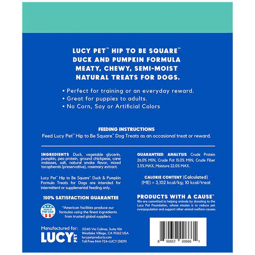 Lucy Pet Hip to Be Square™ Duck and Pumpkin Dog Treats