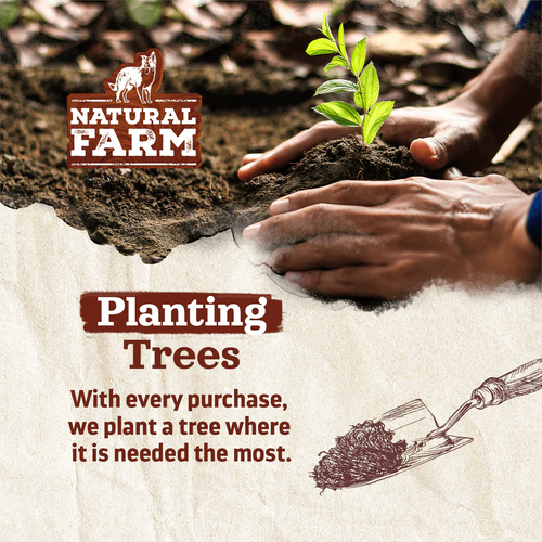 Natural Farm Pixie Bully Sticks Dog Treats