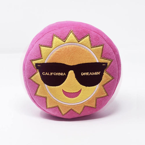 Bone Voyage California Dreamin' Dog Toy