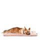 Tailwaggers  Melrose Mat