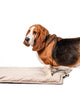 Tailwaggers  Melrose Mat