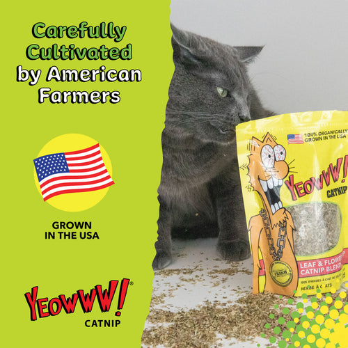 Yeowww! Catnip Pouch