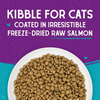 Stella & Chewy's Raw Coated Kibble Cage-Free Duck Recipe for Cats