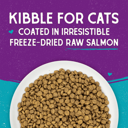 Stella & Chewy's Raw Coated Kibble Cage-Free Duck Recipe for Cats