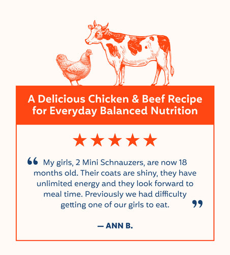 My Perfect Pet Chicken and Beef Boomer's Frozen Dog Food