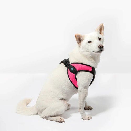 Gooby Escape Free Easy Fit Dog Harness