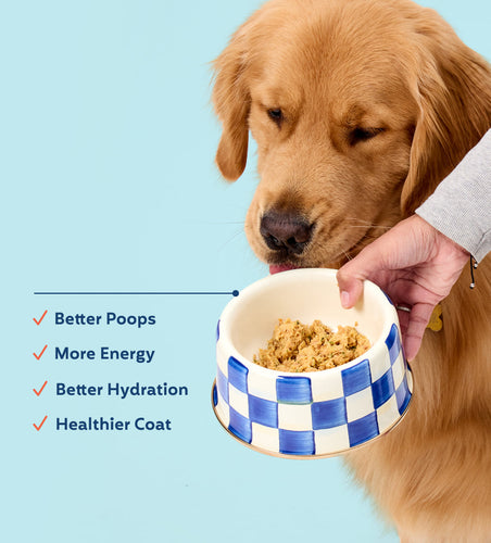 My Perfect Pet Lamb Controlled Phosphorus Specialty Diet Frozen