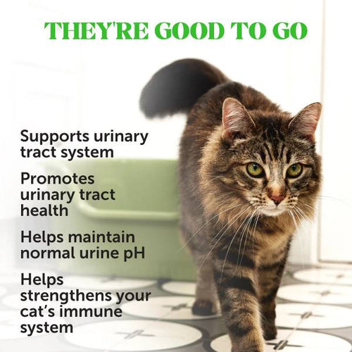 Pet Honesty Urinary Dual Texture Urinary Tract Supplement for Cats