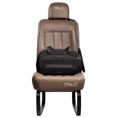 Tavo Dupree AIRLINE CARRY-ON PET CAR SEAT