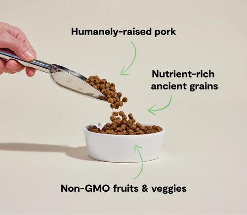Open Farm Farmer's Table Pork & Ancient Grains Dog Kibble Dry Dog Food