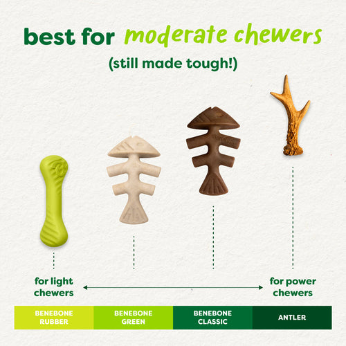 Benebone Green Fishbone Plant-Based Dog Toy for Moderate Chewers