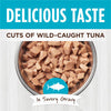 Nature's Variety Instinct Healthy Cravings Tuna Wet Cat Food Topper