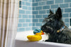 P.L.A.Y.  Splish Splash Bubbles the Duck Dog Toy
