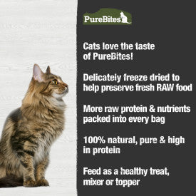 PureBites  Beef Liver Freeze Dried Cat Treats (1.55-oz)