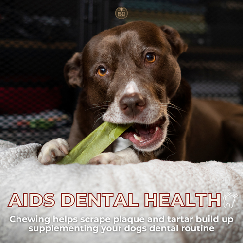 Strawberry Himalayan Yak Chew (MEDIUM)