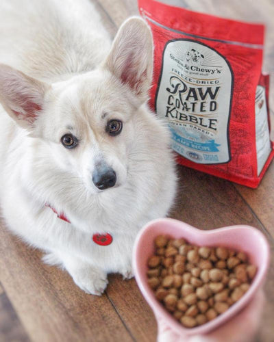 Stella & Chewy's Raw Coated Kibble With Wholesome Grains Grass Fed Lamb Recipe Dry Dog Food