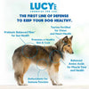 Lucy Pet Salmon, Pumpkin, and Quinoa Grain-Free Formula Dog Food