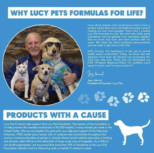 Lucy Pet Salmon, Pumpkin, and Quinoa Grain-Free Formula Dog Food