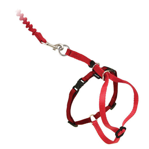 Petsafe come with me kitty harness and bungee leash hotsell