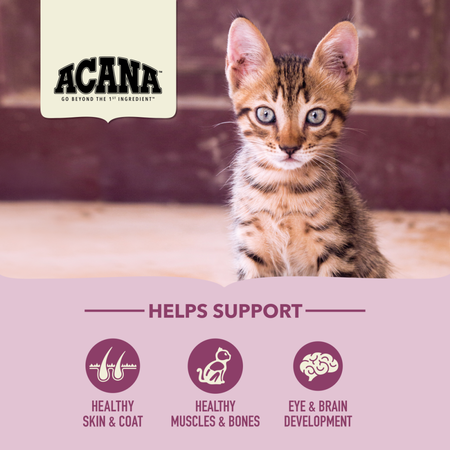 ACANA First Feast Recipe Dry Kitten Food