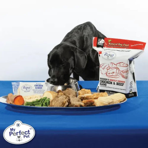 My Perfect Pet Boomer's Chicken & Beef Blend (4 lbs)