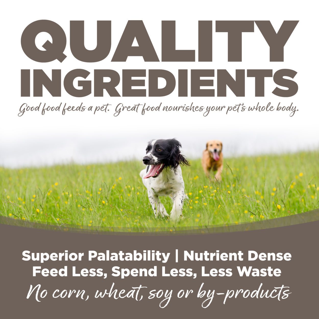 Nutrisource wet hotsell dog food