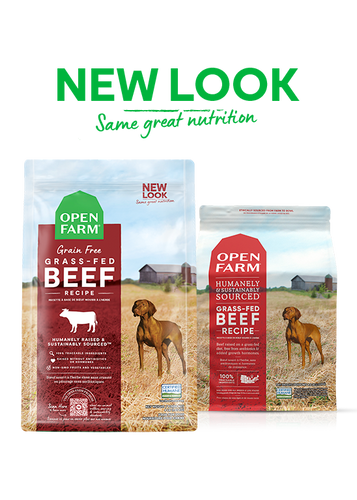 Grain fed dog food cheap