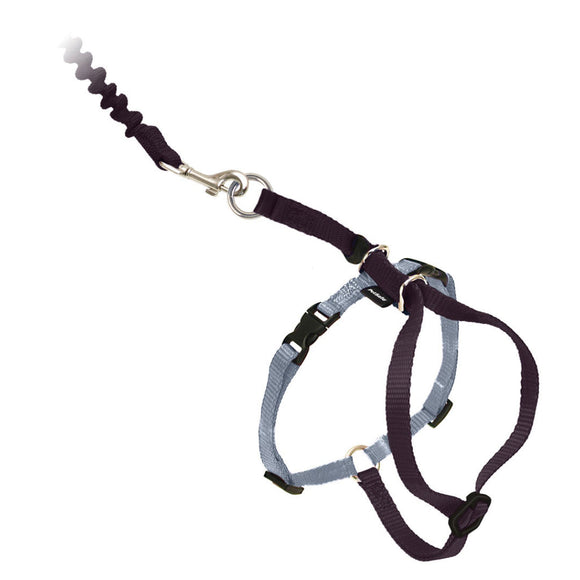 Come With Me Kitty™ Black Cat Harness & Bungee Leash