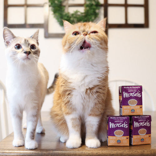 Stella & Chewy's Marvelous Morsels Cage Free Turkey Recipe Wet Cat Food