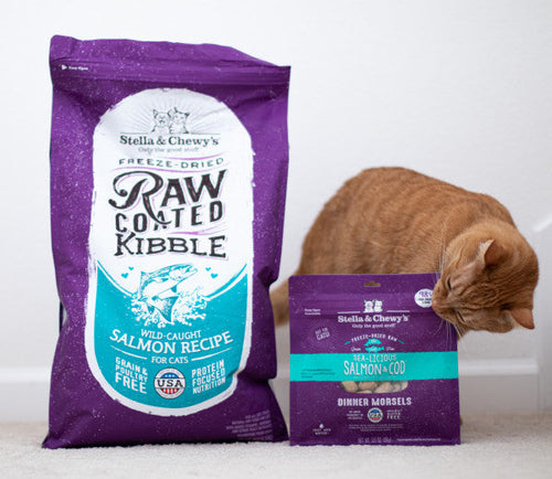 Stella & Chewy's Sea-Licious Salmon & Cod Freeze-Dried Morsels Cat Food